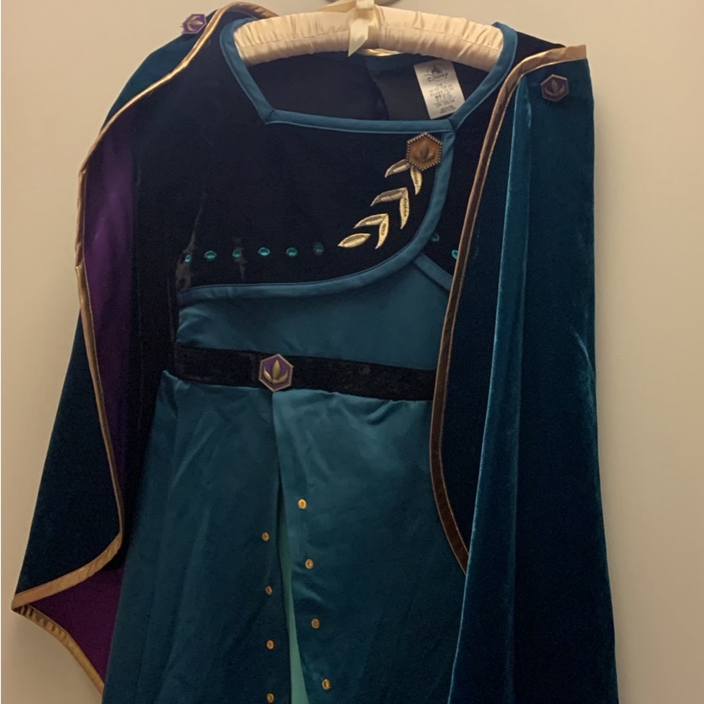 Official Anna Disney dress